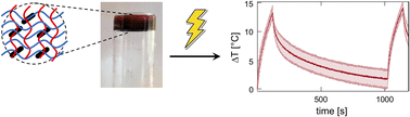 Graphical abstract: On the role of polymeric hydrogels in the thermal response of gold nanorods under NIR laser irradiation