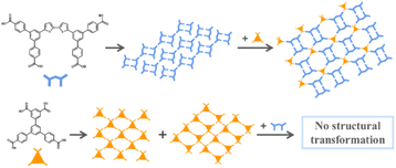 Graphical abstract: Two-dimensional self-assembly and co-assembly of two tetracarboxylic acid derivatives investigated by STM