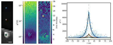 Graphical abstract: Photon bunching in cathodoluminescence induced by indirect electron excitation