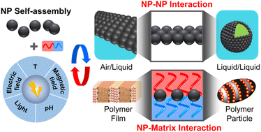 Graphical abstract: Stimuli-responsive nanoparticle self-assembly at complex fluid interfaces: a new insight into dynamic surface chemistry