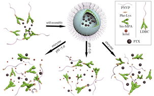 Graphical abstract: Enzyme and pH dual responsive linear-dendritic block copolymer micelles based on a phenylalanyl–lysine motif and peripherally ketal-functionalized dendron as potential drug carriers