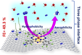 Graphical abstract: Engineering hydrophobic–aerophilic interfaces to boost N2 diffusion and reduction through functionalization of fluorine in second coordination spheres