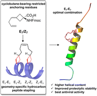 Graphical abstract: Cyclobutane-bearing restricted anchoring residues enabled geometry-specific hydrocarbon peptide stapling