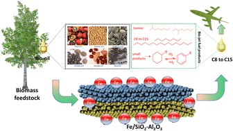 Graphical abstract: Highly selective production of bio-jet fuel grade alkanes over an Fe/SiO2–Al2O3 solid acid catalyst under solvent-free conditions