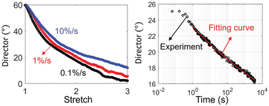 Graphical abstract: Rate-dependent stress-order coupling in main-chain liquid crystal elastomers