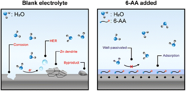 Graphical abstract: Enabling uniform zinc deposition by zwitterion additives in aqueous zinc metal anodes