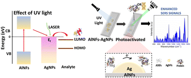 Graphical abstract: Photoactivated plasmonic nanohybrid fibers with prolonged trapping of excited charge carriers for SERS analysis of biomolecules