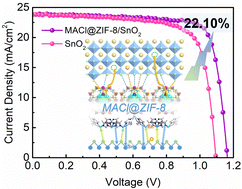 Graphical abstract: Confinement of MACl guest in 2D ZIF-8 triggers interface and bulk passivation for efficient and UV-stable perovskite solar cells