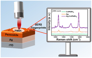 Graphical abstract: Investigation of sensitive SERS detection via a perovskite-coated Ag nanofilm