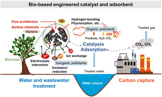 Graphical abstract: Integrated 3D pore architecture design of bio-based engineered catalysts and adsorbents: preparation, chemical doping, and environmental applications