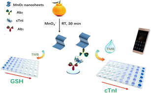 Graphical abstract: Facile, green and scalable synthesis of single-layer manganese dioxide nanosheets and its application for GSH and cTnI colorimetric detection