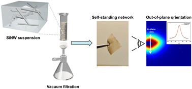 Graphical abstract: Silicon nanowire aqueous dispersions for processing into macroscopic network materials