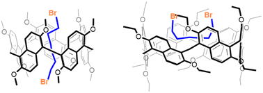 Graphical abstract: Prism[n]arene-alkyl dibromide (n = 5, 6) synergy: molecular affinity in the solid state