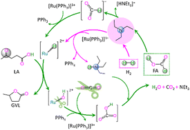 Graphical abstract: Mechanism of CO2 in promoting the hydrogenation of levulinic acid to γ-valerolactone catalyzed by RuCl3 in aqueous solution