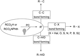 Graphical abstract: Decarboxylative photocatalytic transformations