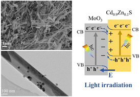 Graphical abstract: Twinned crystal Cd0.9Zn0.1S/MoO3 nanorod S-scheme heterojunctions as promising photocatalysts for efficient hydrogen evolution