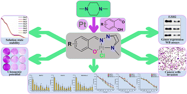 Graphical abstract: Salicylaldehyde-derived piperazine-functionalized hydrazone ligand-based Pt(ii) complexes: inhibition of EZH2-dependent tumorigenesis in pancreatic ductal adenocarcinoma, synergism with PARP inhibitors and enhanced apoptosis