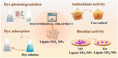 Graphical abstract: Biowaste valorization: multifunctional hybrid lignin/TiO2 nanostructures for bacterial-biocide disinfection and dye removal