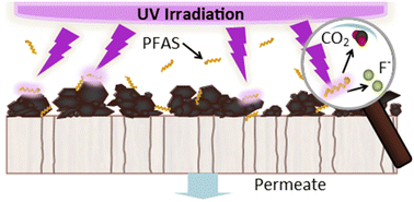 Graphical abstract: Emerging investigator series: photocatalytic treatment of PFAS in a single-step ultrafiltration membrane reactor