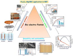 Graphical abstract: Sludge-derived novel Fe3O4–MgO@C composites for tetracycline abatement from wastewater using sustainable bio-electro-Fenton and nutrient recovery with co-precipitation: a waste-to-resource strategy