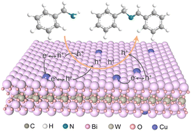 Graphical abstract: Variable-valence element doping mediated photogenerated electron trapping for selective oxidation reactions