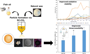 Graphical abstract: Encapsulation of fish oil in natural wax-based solid lipid particles using supercritical carbon dioxide: a green strategy to develop stable powder fish oil