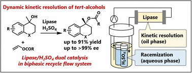Graphical abstract: Dynamic kinetic resolution of tert-alcohols via combination of a lipase/Brønsted acid in a biphasic reaction medium