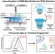 Graphical abstract: Real-time detection and classification of PFAS using dynamic behaviors at liquid–liquid interfaces