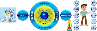 Graphical abstract: Sulfur quantum dots for fluorescence sensing in biological and pharmaceutical samples: a review