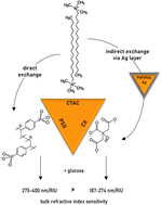 Graphical abstract: Customizable ligand exchange on the surface of gold nanotriangles enables their application in LSPR-based sensing