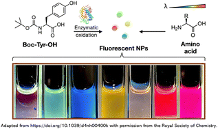 Graphical abstract: Nanoparticle assembly with customisable fluorescence properties and excellent biocompatibility