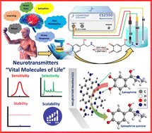 Graphical abstract: Theoretical and experimental investigations on the interaction of epinephrine with melamine-modified carbon nanotubes