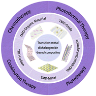 Graphical abstract: Recent progress on transition metal dichalcogenide-based composites for cancer therapy