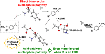 Graphical abstract: Exploring the mechanism of the reductive amination of acetophenones via the Borch approach: the role of the acid catalyst