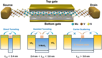 Graphical abstract: Dopant-mediated carrier tunneling in short-channel two-dimensional transistors