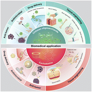 Graphical abstract: Advancements in application of chitosan and cyclodextrins in biomedicine and pharmaceutics: recent progress and future trends