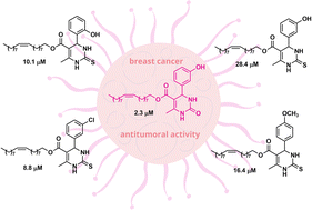 Graphical abstract: Synthesis of novel fatty acid 3,4-dihydropyrimidin-2-(1H)-one and antitumoral activity against breast and gastric cancer cells