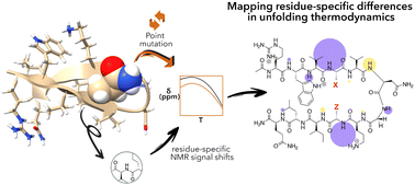 Graphical abstract: Probing the non-covalent forces key to the thermodynamics of β-hairpin unfolding