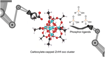 Graphical abstract: Atomically precise surface chemistry of zirconium and hafnium metal oxo clusters beyond carboxylate ligands