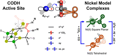 Graphical abstract: Nickel model complexes to mimic carbon monoxide dehydrogenase reactions