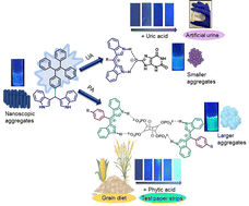 Graphical abstract: Exploring the synergistic effect of aggregation and hydrogen bonding: a fluorescent probe for dual sensing of phytic acid and uric acid