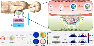 Graphical abstract: Synergistic microwave hyperthermia treatment for subcutaneous deep in situ breast cancer using conformal array antennas and a microwave-thermal-sensitive nanomaterial