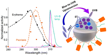 Graphical abstract: Harnessing lanthanides for blue-to-UVB upconversion and its dye-sensitization