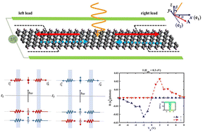 Graphical abstract: Bipolar fully spin-polarized photocurrents in zigzag graphene nanoribbons