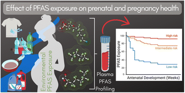 Graphical abstract: Pregnancy complications and birth outcomes following low-level exposure to per- and polyfluoroalkyl substances in the vitamin D antenatal asthma reduction trial