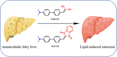 Graphical abstract: Novel TICT-characterized fluorescent probes for efficient imaging of lipid droplets in nonalcoholic fatty liver disease