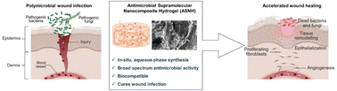 Graphical abstract: Short-peptide based supramolecular nanocomposite hydrogels for the disruption of polymicrobial biofilms and accelerated infected wound healing