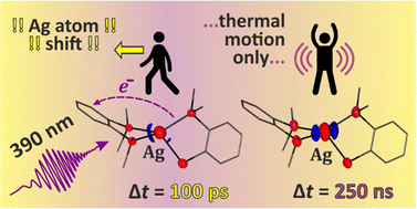 Graphical abstract: Capturing the short-lived excited singlet state in crystals of a TADF silver(i) complex