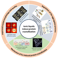 Graphical abstract: Advances in ionic liquid-mediated protein crystallization
