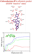 Graphical abstract: Molecular dynamics simulations reveal a strong binding capacity of colossolactone H to the EGFR inactive conformation